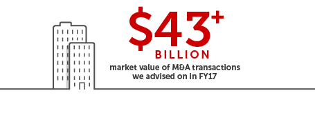 Annual report 2017