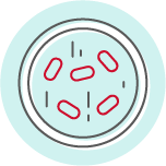 CAR-T Cell therapy